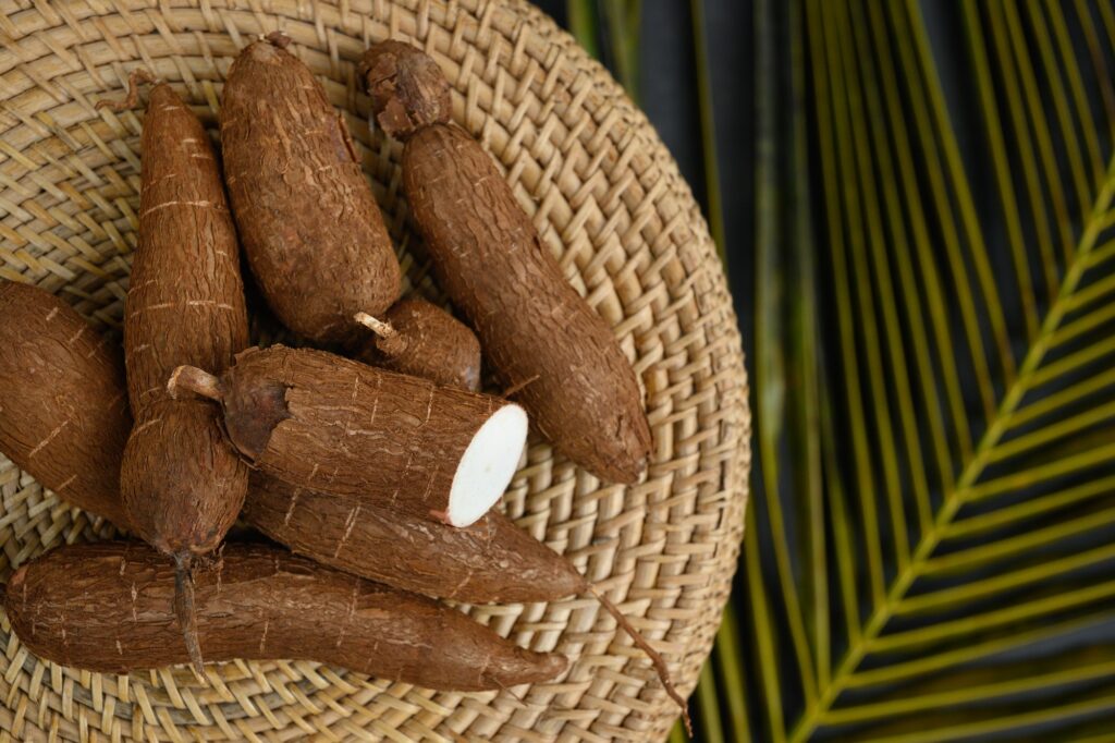 Organic raw cassava tuber on wicker tray and palm leaves.